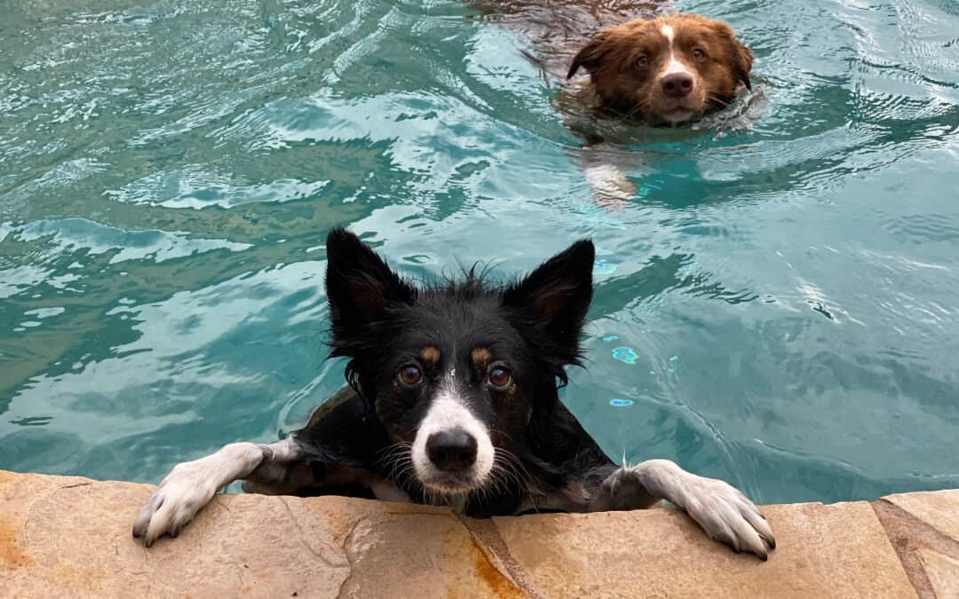 9 Surprising Things You Can Expect During Pool Construction